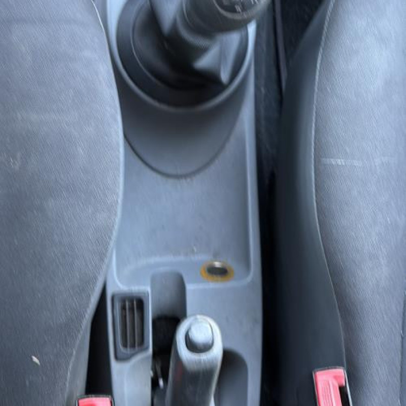 Custode arriere gauche (porte) RENAULT GRAND MODUS Photo n°20