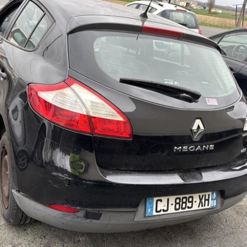 Baguette de porte avant gauche RENAULT MEGANE 3 Photo n°9