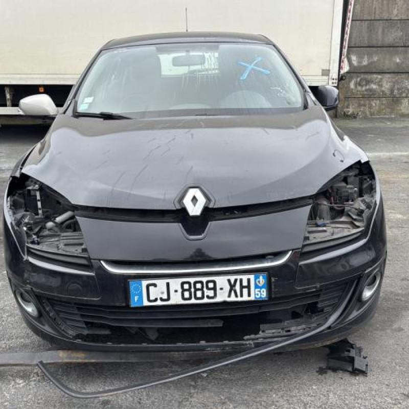 Baguette de porte avant gauche RENAULT MEGANE 3 Photo n°12