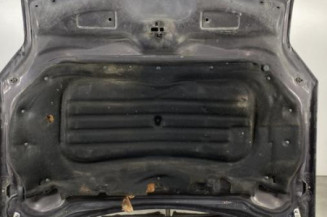 Capot CITROEN C6