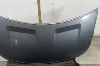 Capot SMART FORFOUR 1 Photo n°1