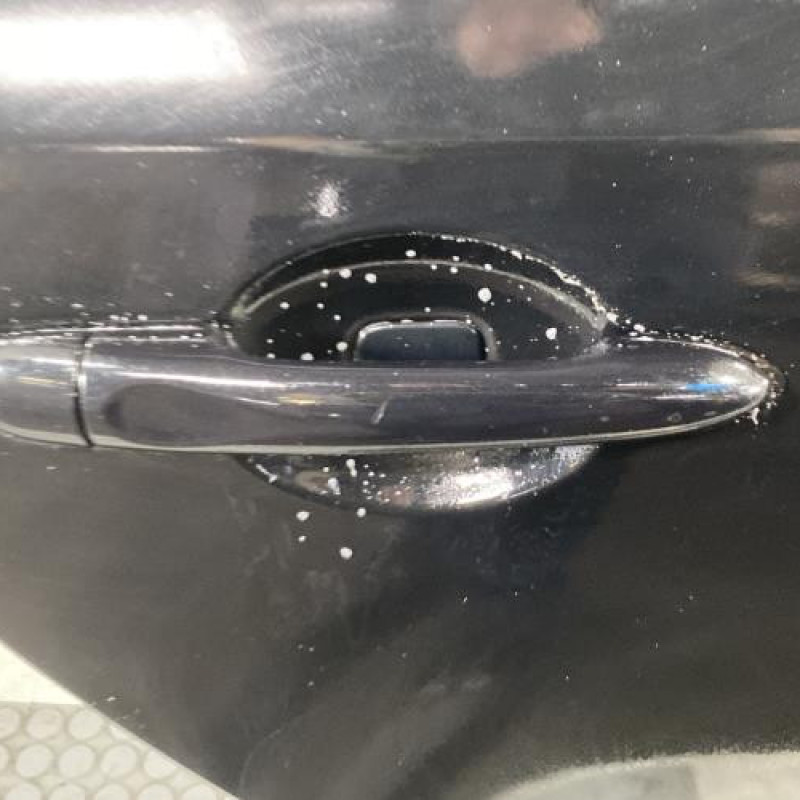 Porte arriere droit RENAULT MEGANE 3 Photo n°2