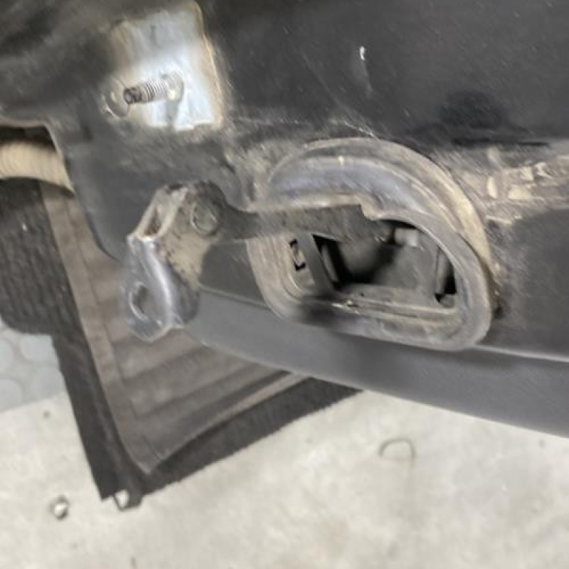 Porte arriere droit RENAULT MEGANE 3 Photo n°5