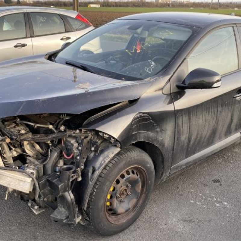 Porte arriere droit RENAULT MEGANE 3 Photo n°8