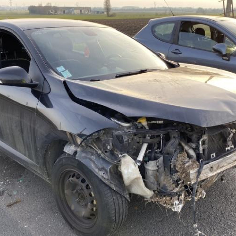 Porte arriere droit RENAULT MEGANE 3 Photo n°9