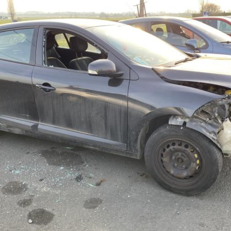Porte arriere droit RENAULT MEGANE 3 Photo n°14
