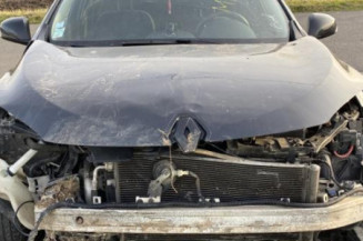 Porte arriere droit RENAULT MEGANE 3