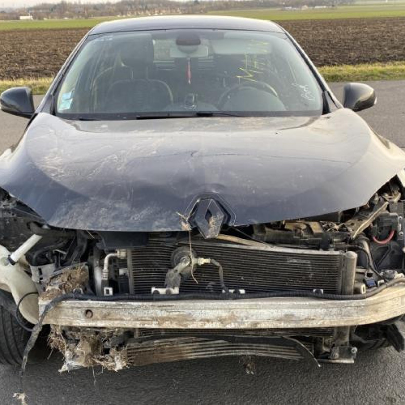 Porte arriere droit RENAULT MEGANE 3 Photo n°15