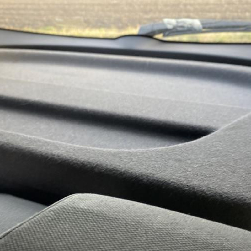 Porte arriere droit RENAULT MEGANE 3 Photo n°20