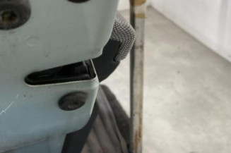 Porte arriere gauche SKODA FABIA 2