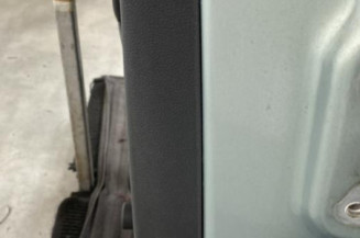 Porte arriere gauche SKODA FABIA 2