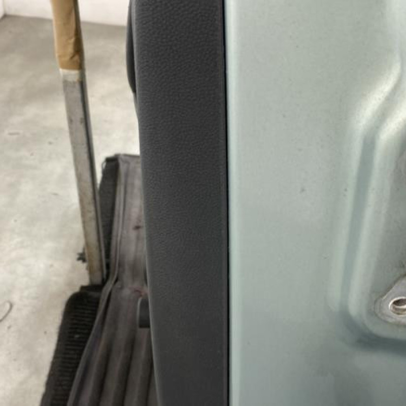 Porte arriere gauche SKODA FABIA 2 Photo n°4
