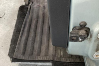Porte arriere gauche SKODA FABIA 2