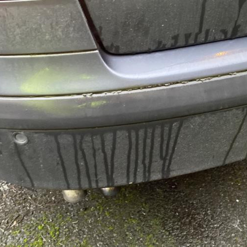 Porte avant droit SKODA OCTAVIA 2 Photo n°14