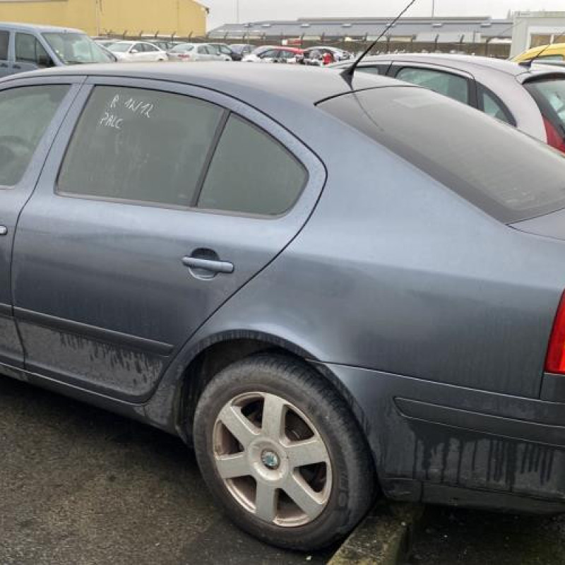 Porte avant droit SKODA OCTAVIA 2 Photo n°15