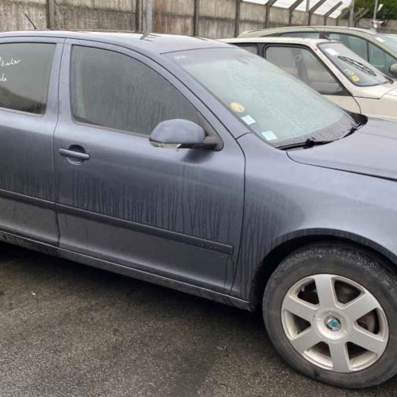 Porte avant droit SKODA OCTAVIA 2 Photo n°16