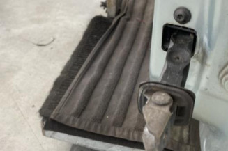 Porte avant gauche SKODA FABIA 2