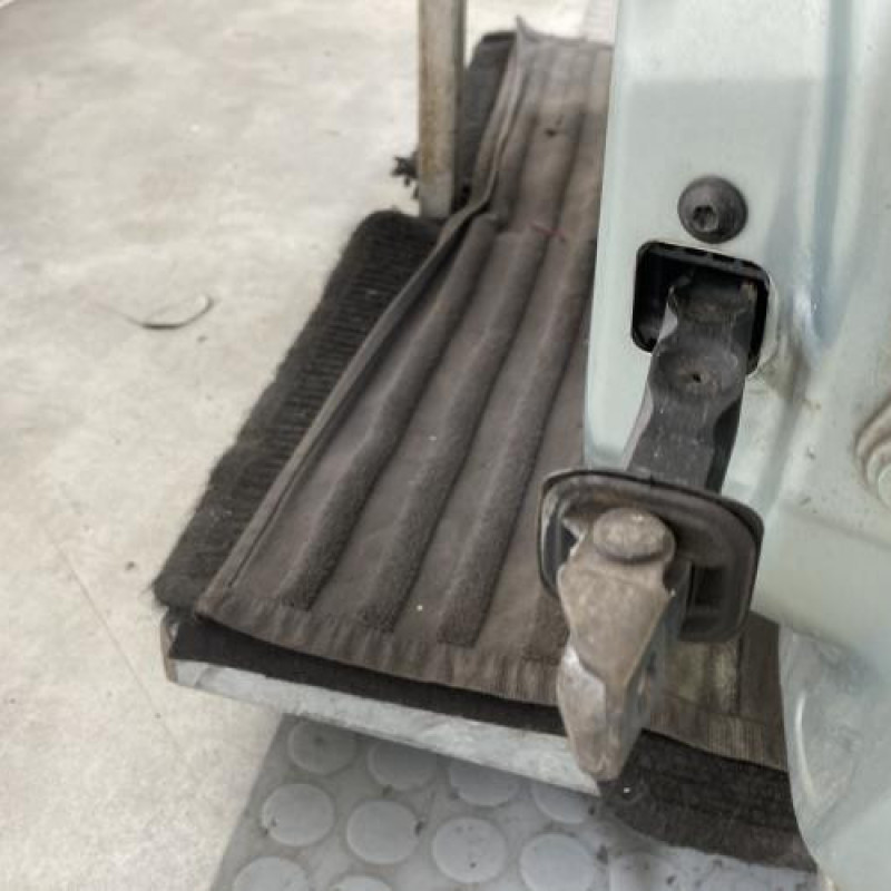 Porte avant gauche SKODA FABIA 2 Photo n°5