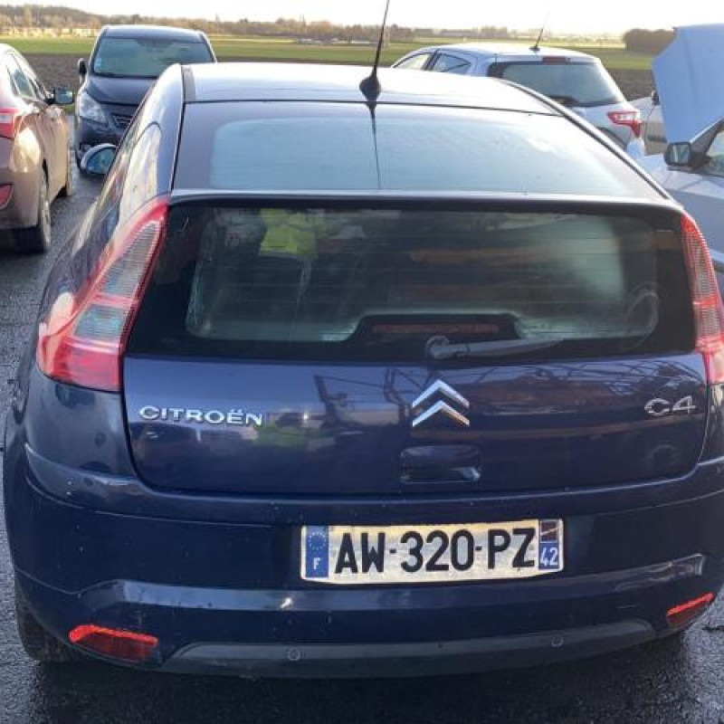 Porte avant gauche CITROEN C4 1 Photo n°11