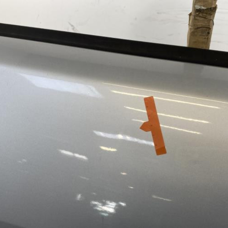 Porte avant droit RENAULT MEGANE 2 Photo n°3