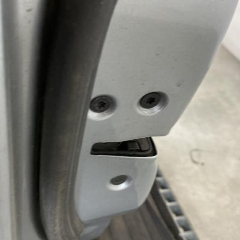 Porte avant gauche FORD GALAXY 2 Photo n°4