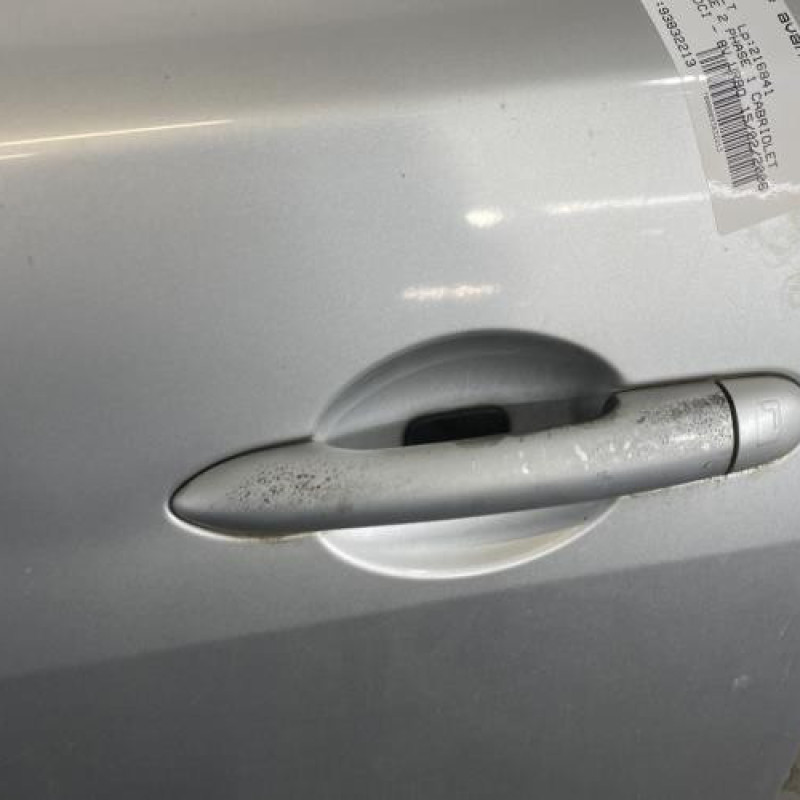 Porte avant gauche RENAULT MEGANE 2 Photo n°2