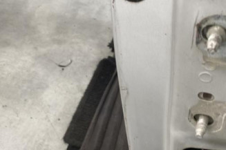 Porte avant gauche RENAULT MEGANE 2