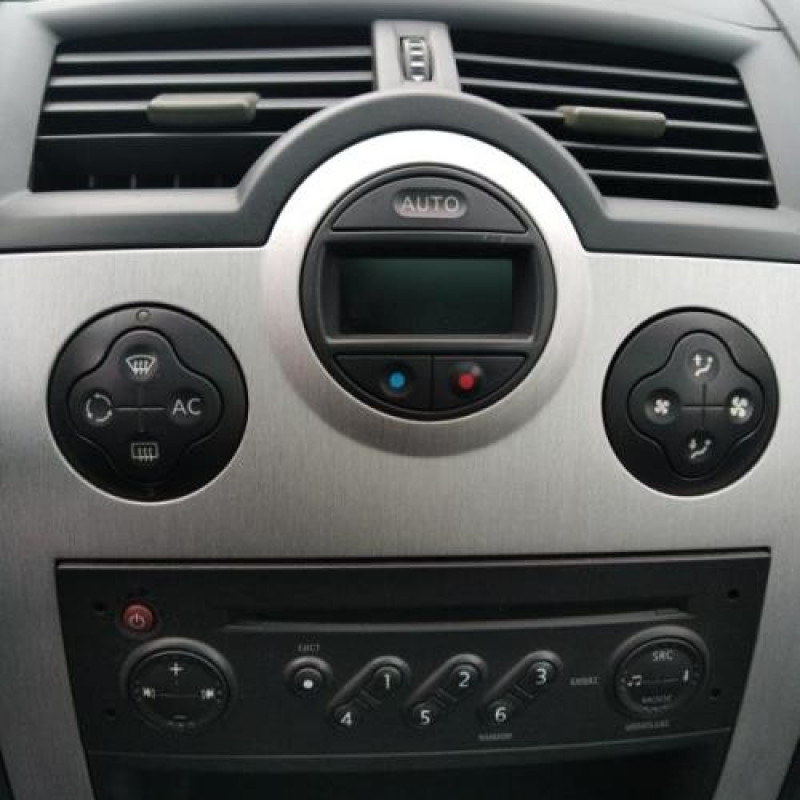 Porte avant gauche RENAULT MEGANE 2 Photo n°12