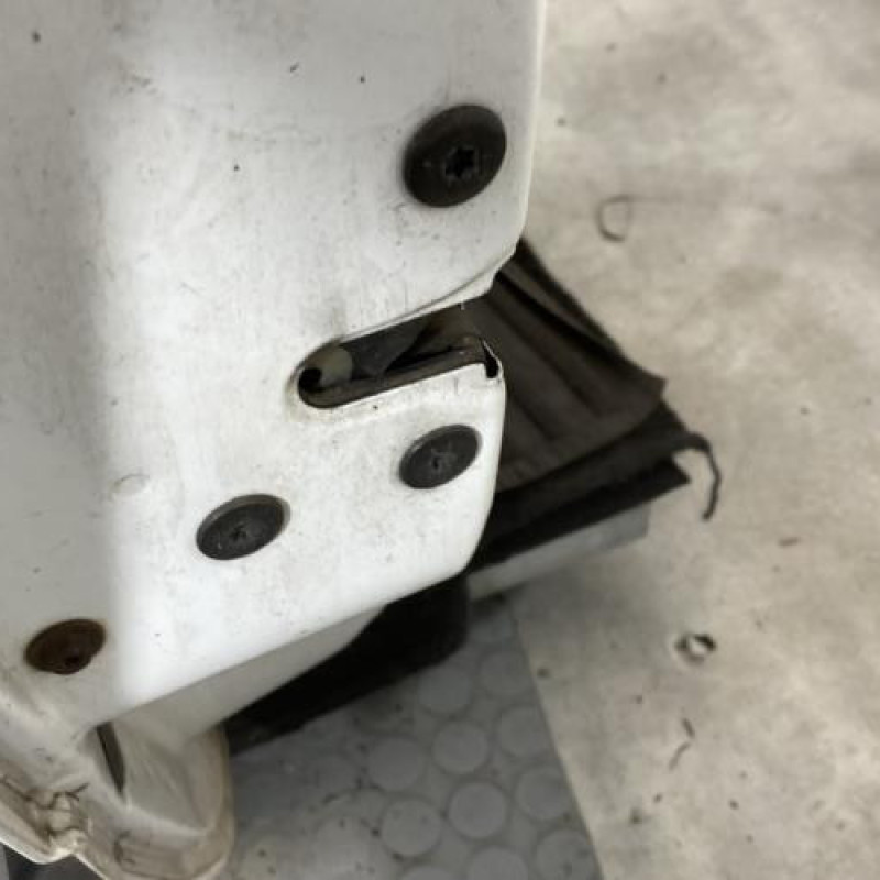 Porte avant gauche RENAULT CLIO 2 Photo n°3