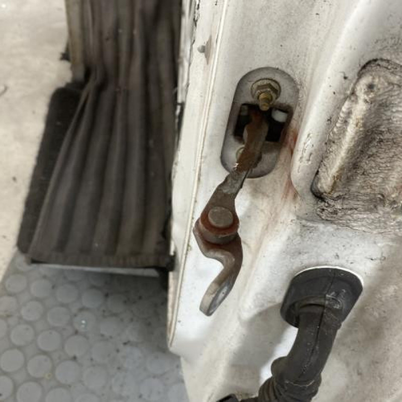 Porte avant gauche RENAULT CLIO 2 Photo n°4