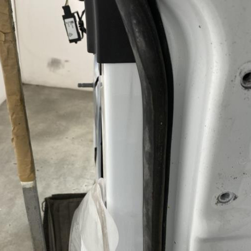 Porte arriere droit OPEL MERIVA B Photo n°4
