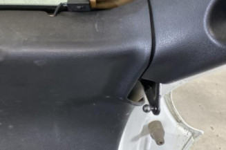 Malle/Hayon arriere NISSAN JUKE 1