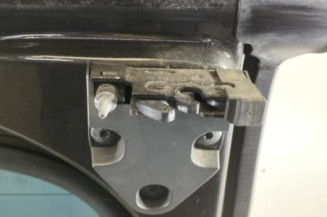 Porte de coffre droit RENAULT TRAFIC 3