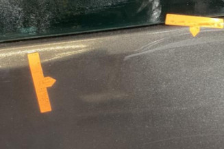 Porte laterale gauche RENAULT TRAFIC 3