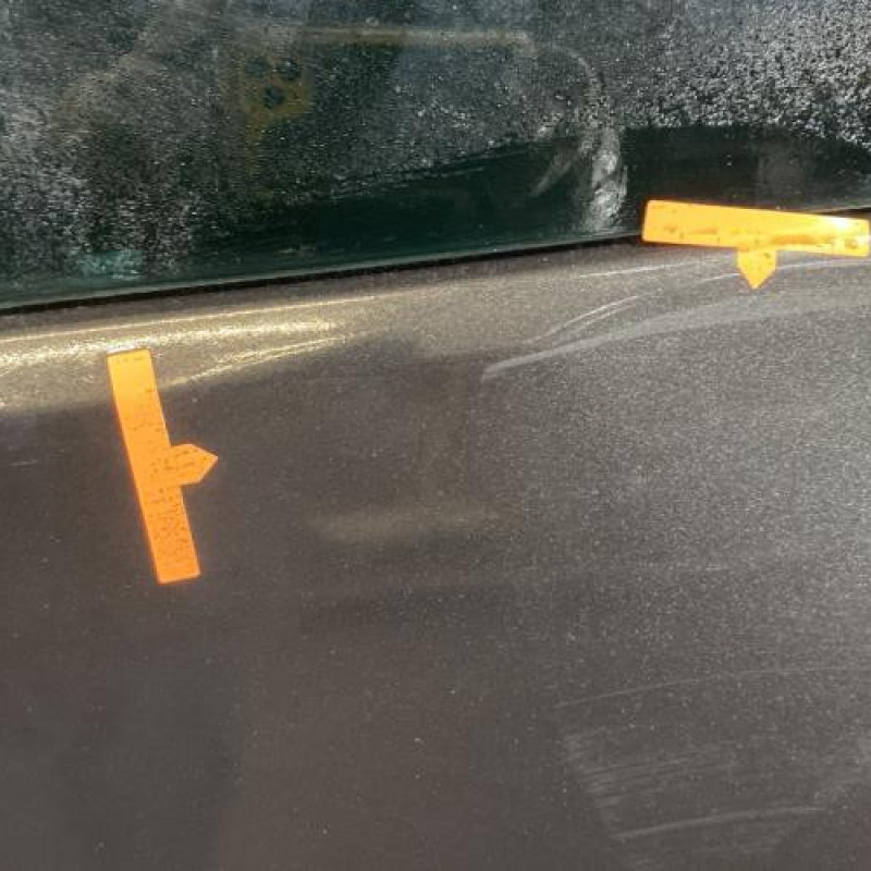 Porte laterale gauche RENAULT TRAFIC 3 Photo n°3
