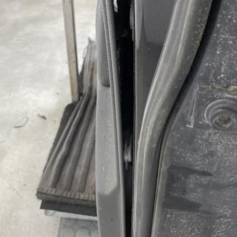 Porte avant gauche VOLKSWAGEN POLO 4 Photo n°4