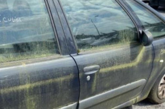 Retroviseur droit CITROEN XSARA PICASSO