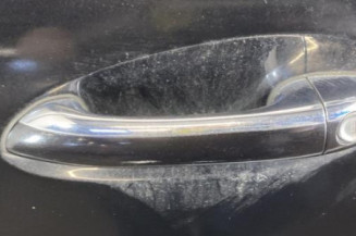 Porte avant gauche MERCEDES CLASSE R 251