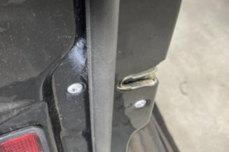 Porte avant gauche MERCEDES CLASSE R 251