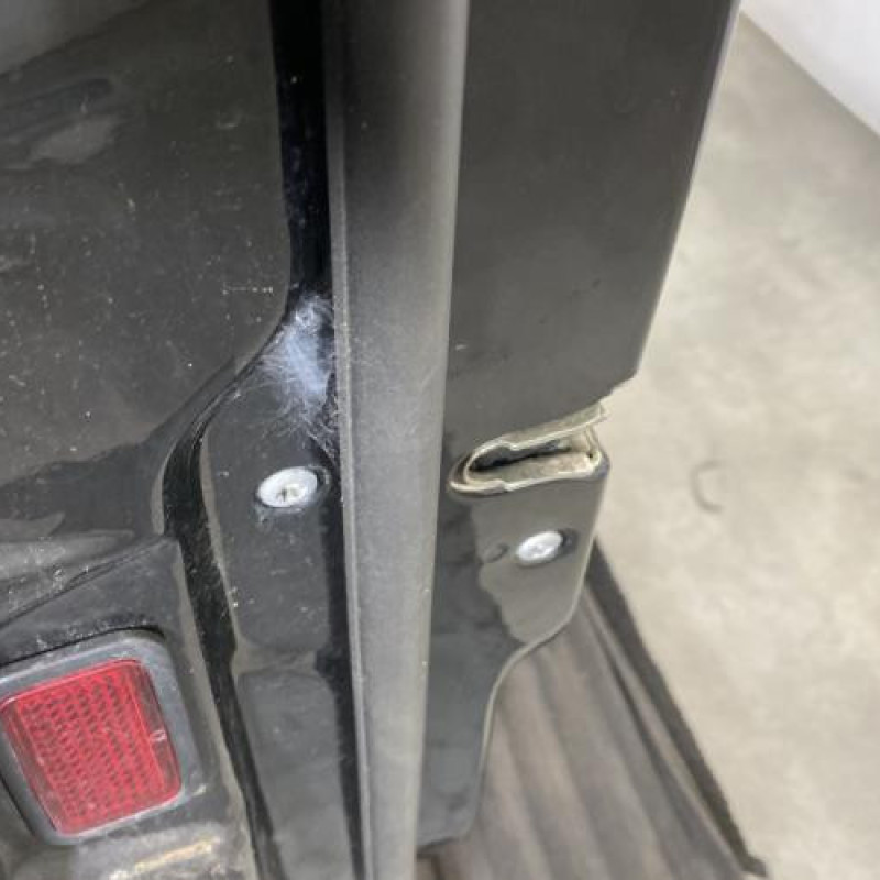 Porte avant gauche MERCEDES CLASSE R 251 Photo n°3