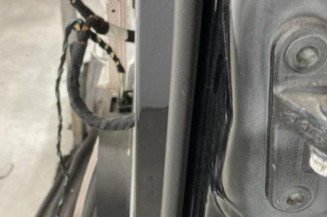 Porte avant gauche MERCEDES CLASSE R 251