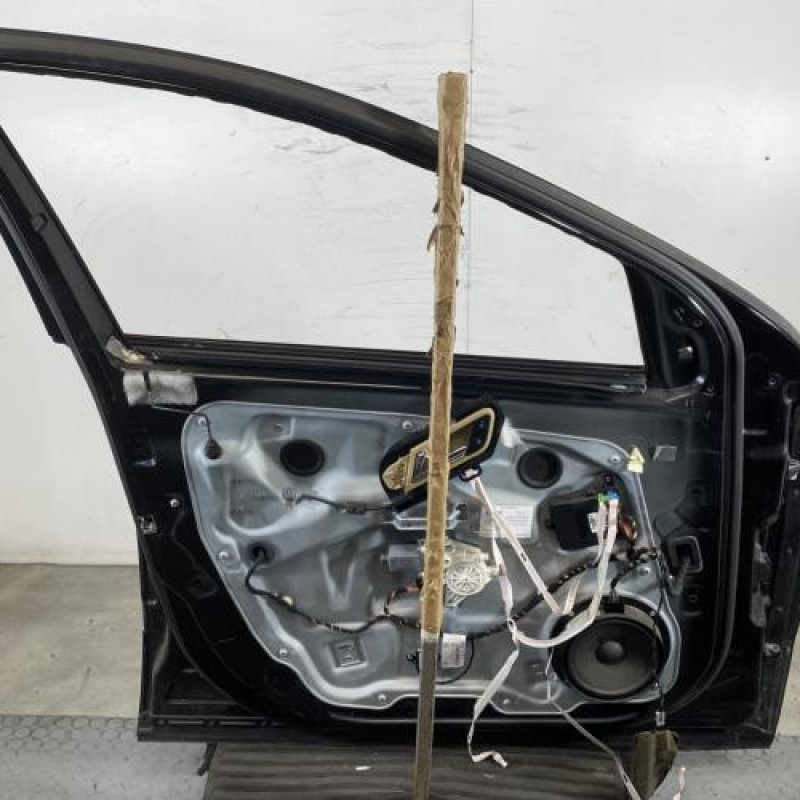Porte avant gauche MERCEDES CLASSE R 251 Photo n°6