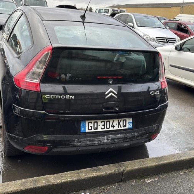 Porte avant gauche CITROEN C4 1 Photo n°11
