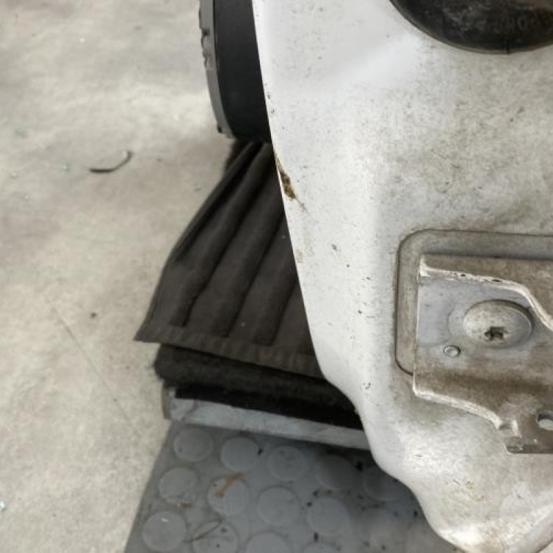 Porte avant gauche CITROEN BERLINGO 2 Photo n°4