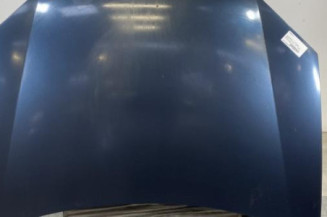 Capot VOLKSWAGEN GOLF 5 Photo n°1