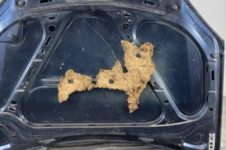Capot VOLKSWAGEN GOLF 5