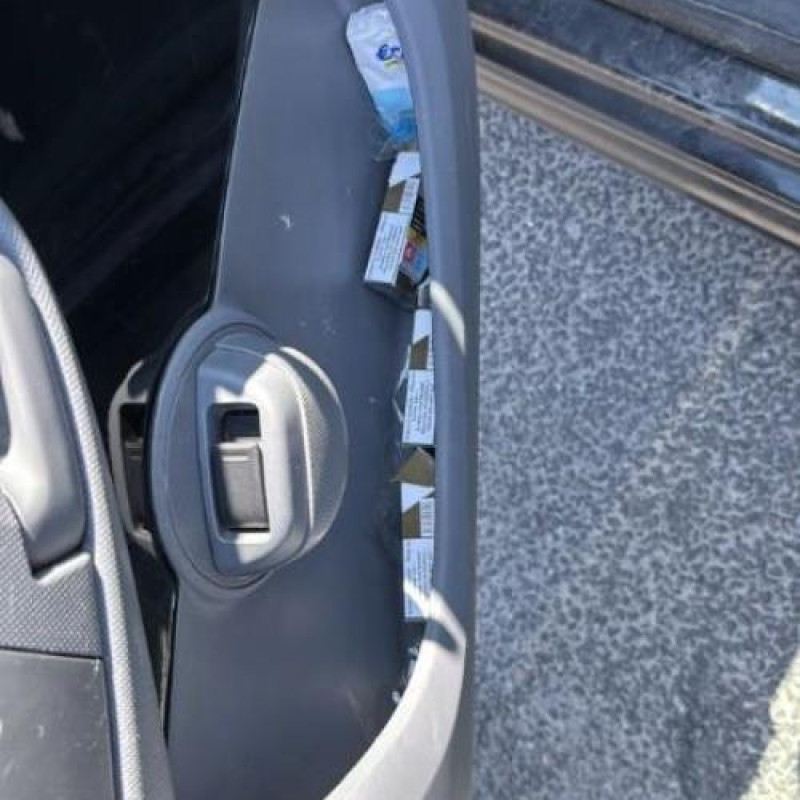 Porte arriere droit CITROEN C1 1 Photo n°13