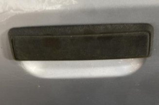 Porte arriere gauche PEUGEOT 205