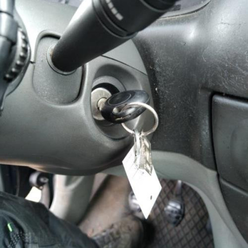 Jante RENAULT SCENIC 1 Photo n°10
