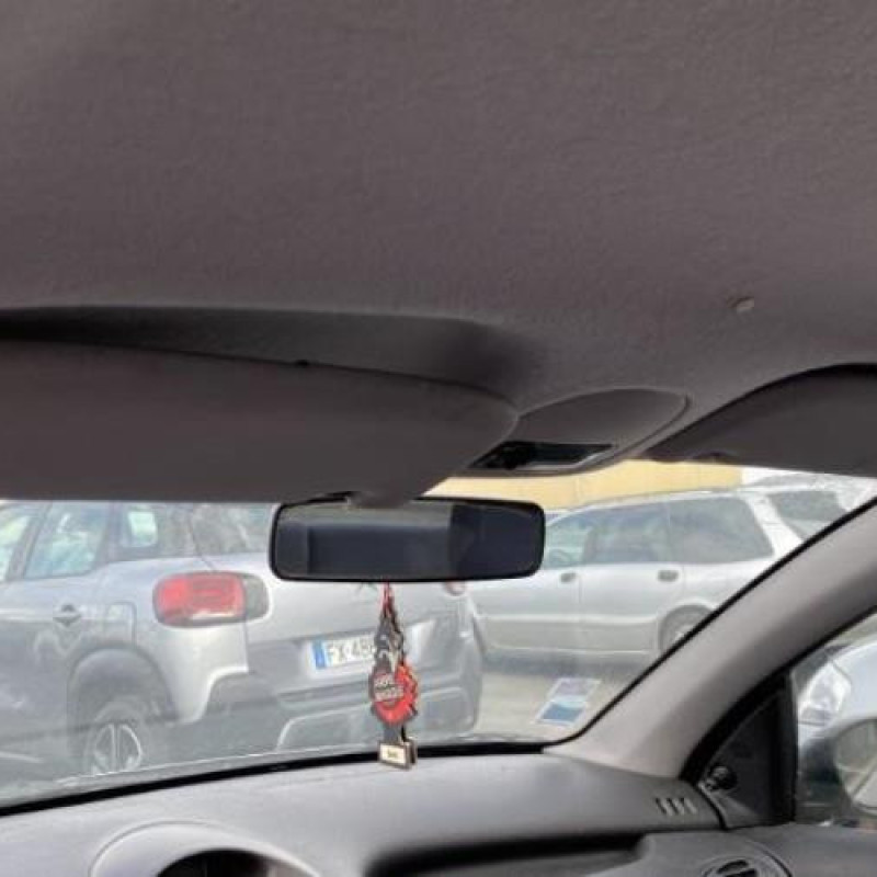 Porte arriere droit PEUGEOT 206 Photo n°10